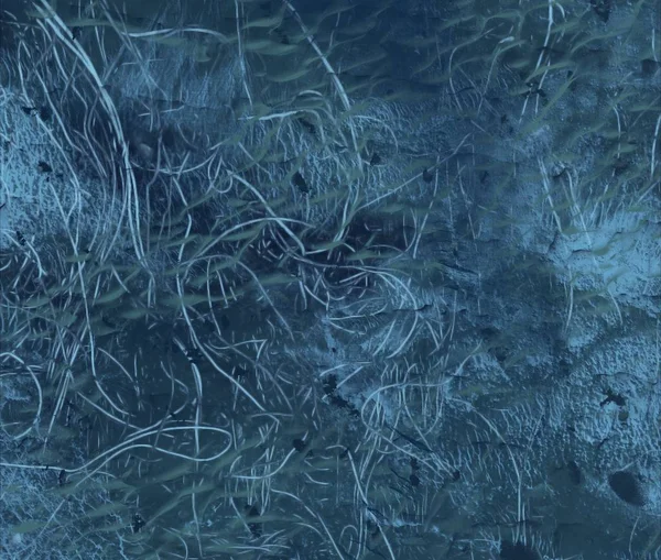 metin için alanı olan grunge arkaplanı