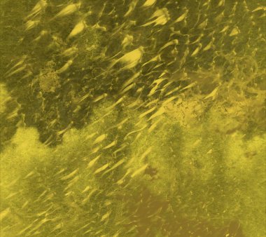 metin için alanı olan grunge arkaplanı