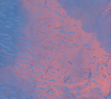 metin için alanı olan grunge arkaplanı