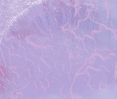 metin için alanı olan grunge arkaplanı