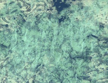 metin için alanı olan grunge arkaplanı