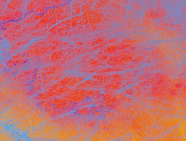 metin veya resim için alanı olan grunge arkaplanı