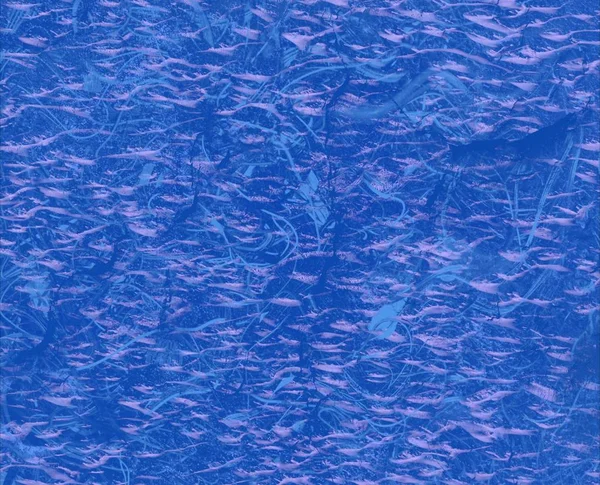 Тло Текстури Тло Текстури Вода Басейні Фотографується Протилежному Світлі Відблиски — стокове фото