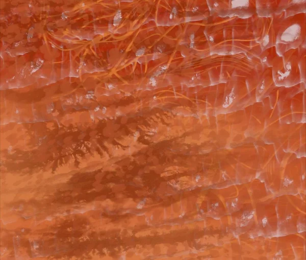 metin için alanı olan grunge arkaplanı