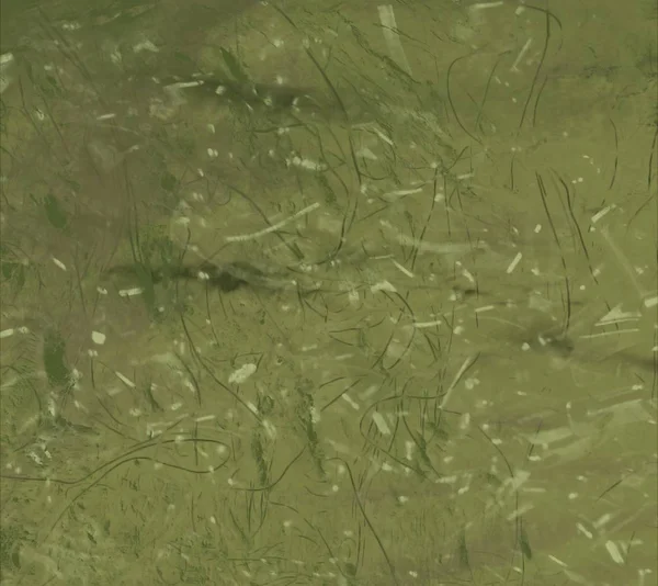 boşluk ile soyut grunge arka plan 