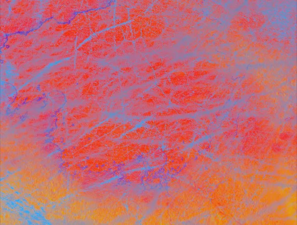 metin veya resim için alanı olan grunge arkaplanı