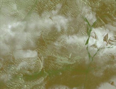 metin için alanı olan grunge arkaplanı