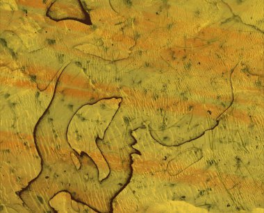 soyut arkaplan, kopyalama alanı