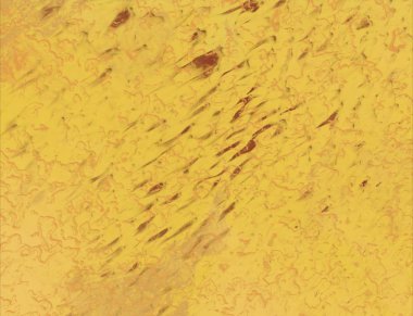 metin için alanı olan grunge arkaplanı