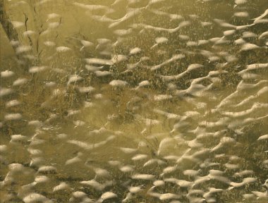 metin için alanı olan grunge arkaplanı