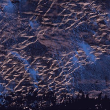 soyut renkli arkaplan, alanı kopyala 