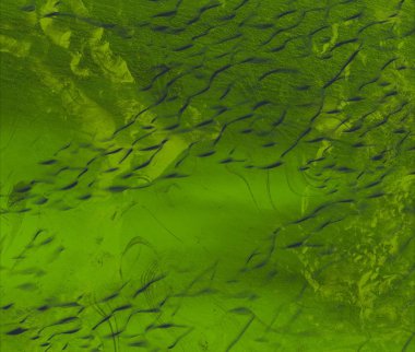 Metin için alanı olan soyut arkaplan