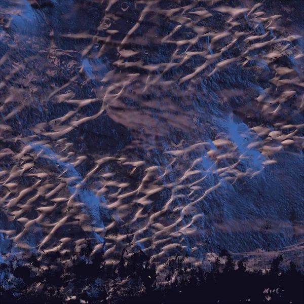 soyut renkli arkaplan, alanı kopyala 