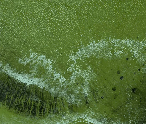 metin için alanı olan grunge arkaplanı