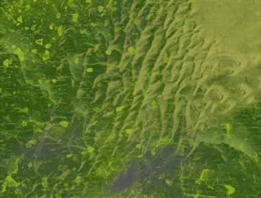 Grunge arka planı yeşil yaprakları ile