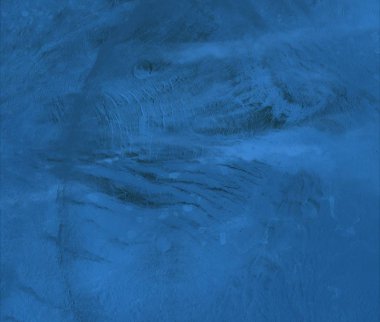 metin için alanı olan grunge arkaplanı