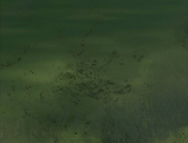 metin için alanı olan grunge arkaplanı