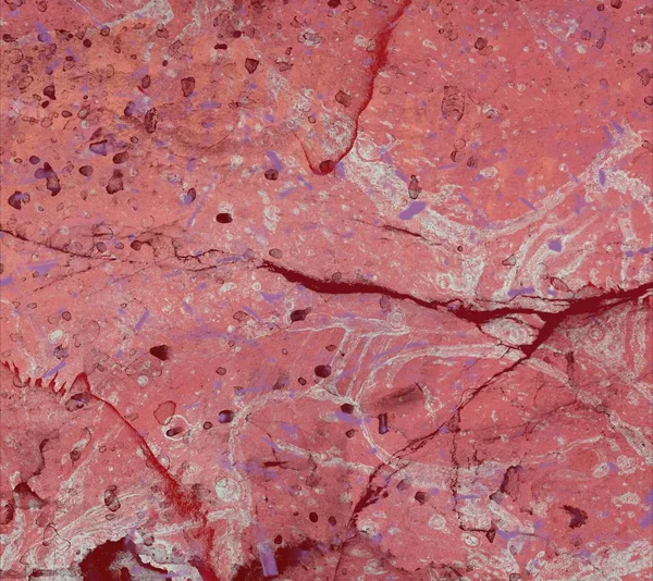 metin için alanı olan grunge arkaplanı