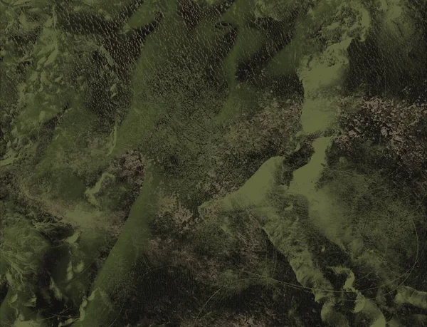 Ormanda yeşil yapraklar