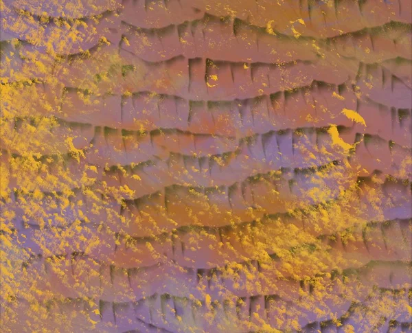 metin için alanı olan grunge arkaplanı