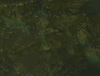 Berrak suda ölü mercanlar.