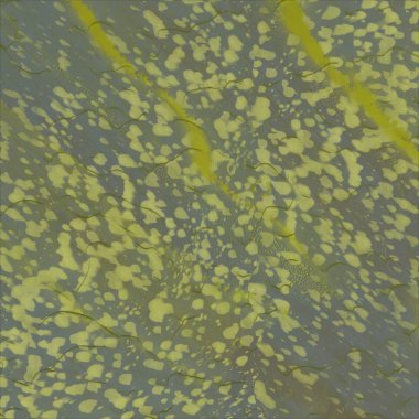 sarı yeşil yapraklar