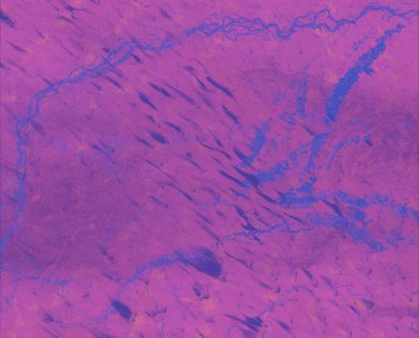 metin için alanı olan grunge arkaplanı