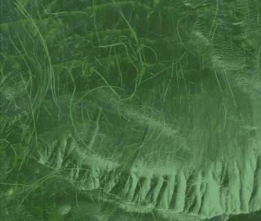 beyaz arkaplanda yeşil yapraklar