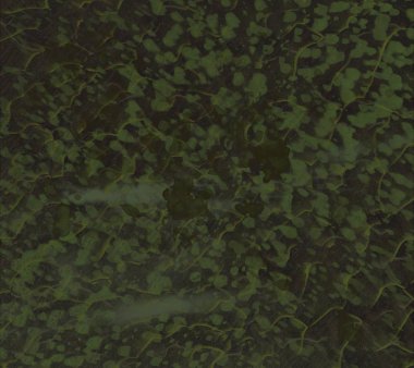 Yeşil yapraklı soyut arkaplan