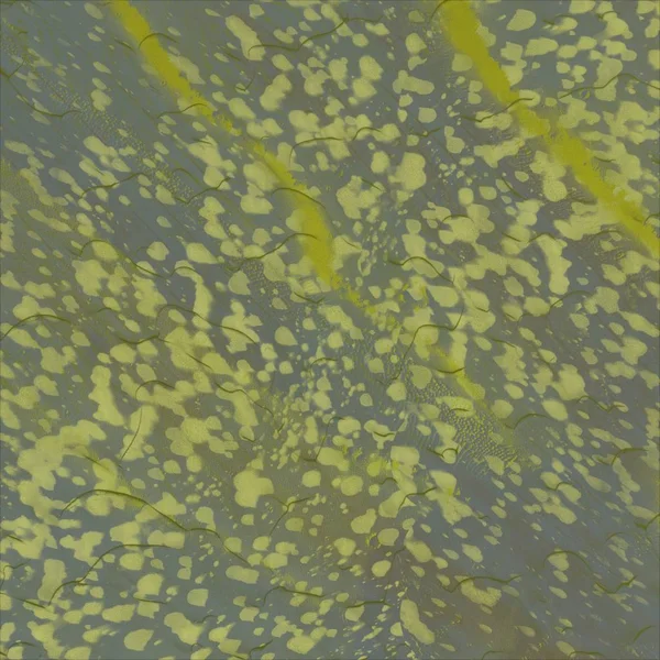 sarı yeşil yapraklar