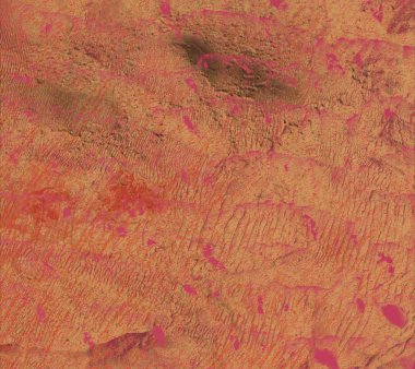 metin için alanı olan grunge arkaplanı