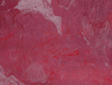 metin için alanı olan grunge arkaplanı