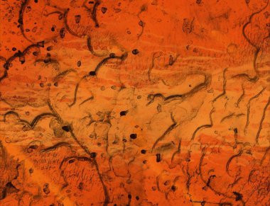 Metin için alanı olan soyut arkaplan