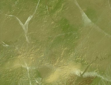 alan ile yeşil yaprak doku arka plan