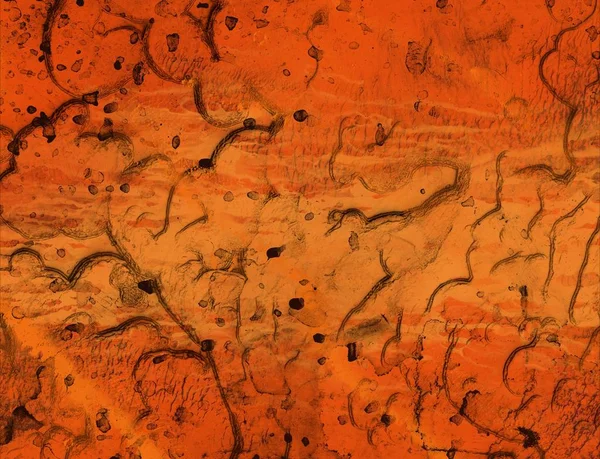 Metin için alanı olan soyut arkaplan