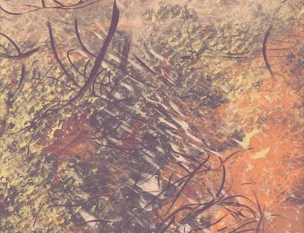 Sonbahar yaprakları duvarda