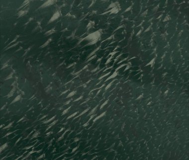 Metin için alanı olan soyut arkaplan