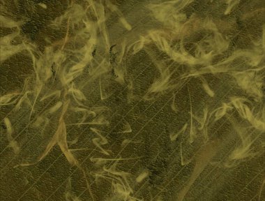 metin için alanı olan grunge arkaplanı