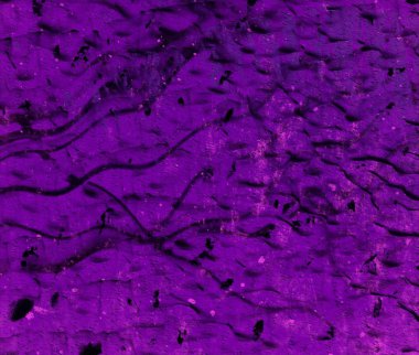 soyut renkli arkaplan, alanı kopyala 