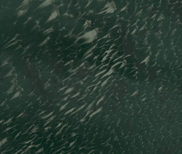 Metin için alanı olan soyut arkaplan