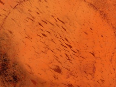 kopya alanı için antik soyut suluboya arka plan