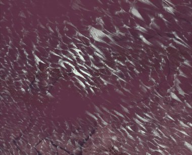 metin için alanı olan grunge arkaplanı