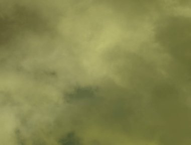 Yeşil boya fırça darbeleri ve lekeleri doku kopya alanı ile beyaz arka plan üzerinde zarif özetini dekore edilmiş metin için. 