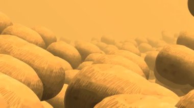 Patatesli soyut görüntüler