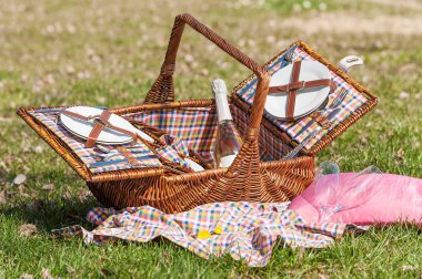 piknik sepeti çimlerin üzerinde