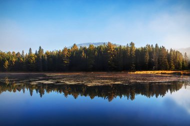 Ağaçlar sonbahar sabahı sakin Ontario, Kanada'da Algonquin il park hala göle yansıyan