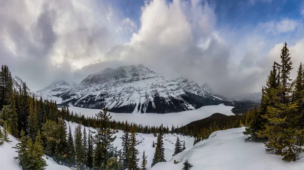 Panoramablick Auf Den Peyto See Und Die Umliegenden Berge Banff — Stockfoto