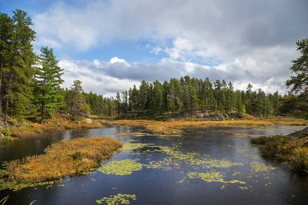 Día Lluvioso Una Isla Lago Durante Otoño Cerca Sudbury Ontario — Foto de Stock
