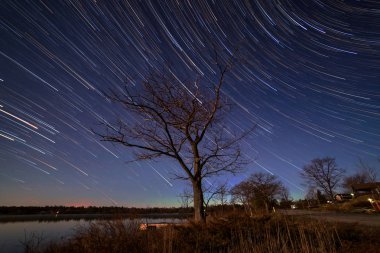 Bir ağaç ve Ontario Parry Sound ilçe gece star yollar