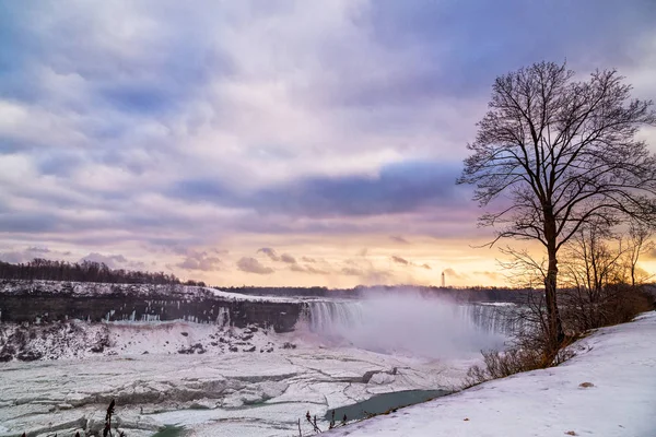 A lone tree overlooks the frozen Niagara river and Horseshoe falls in winter at sunset